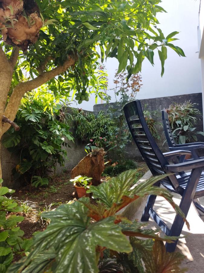 Appartement Casa Da Avo Rosa à São Vicente Extérieur photo